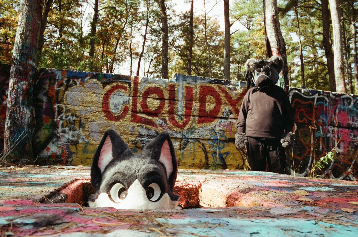 What’s the weather forecast for Halloween? The ever reliable animal forecasters #FursuitFriday 
📷 Ashe (no twitter)