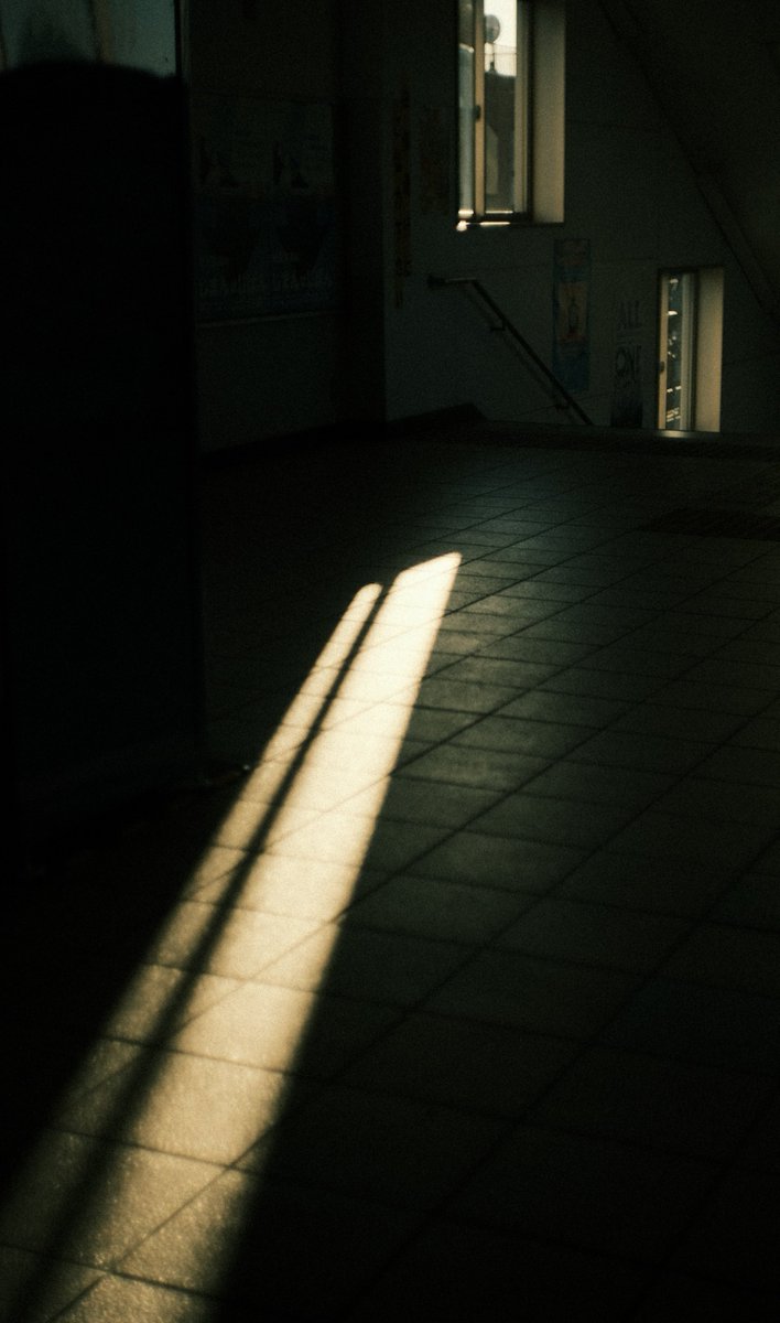 毎日は苦しい。それでも光差す一瞬に、救われる事もある