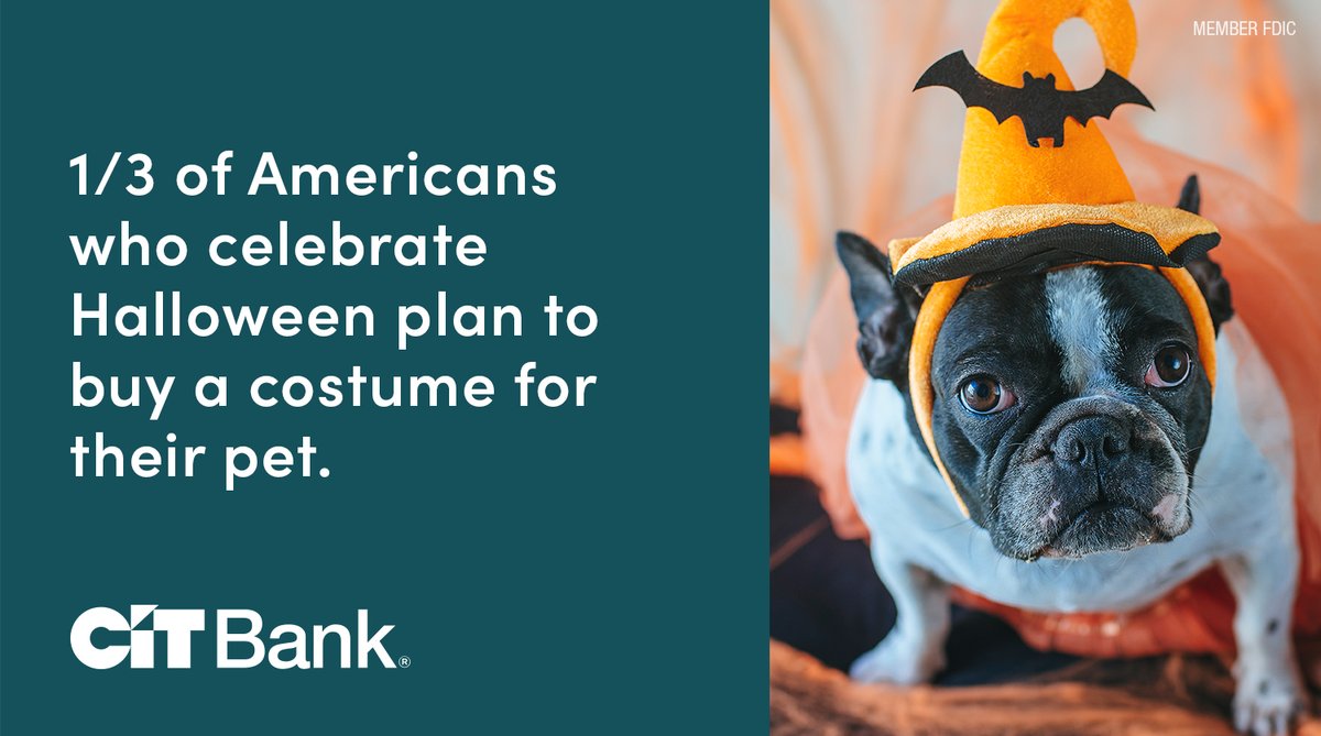 CITBank's tweet image. Will your pet be dressing up for Halloween? If so, you’re in good company. One-third of Americans – and half of Gen Z – plan to buy their pet a costume this year. See more from our 2025 Halloween Spending Survey: cit.com/cit-bank/learn…