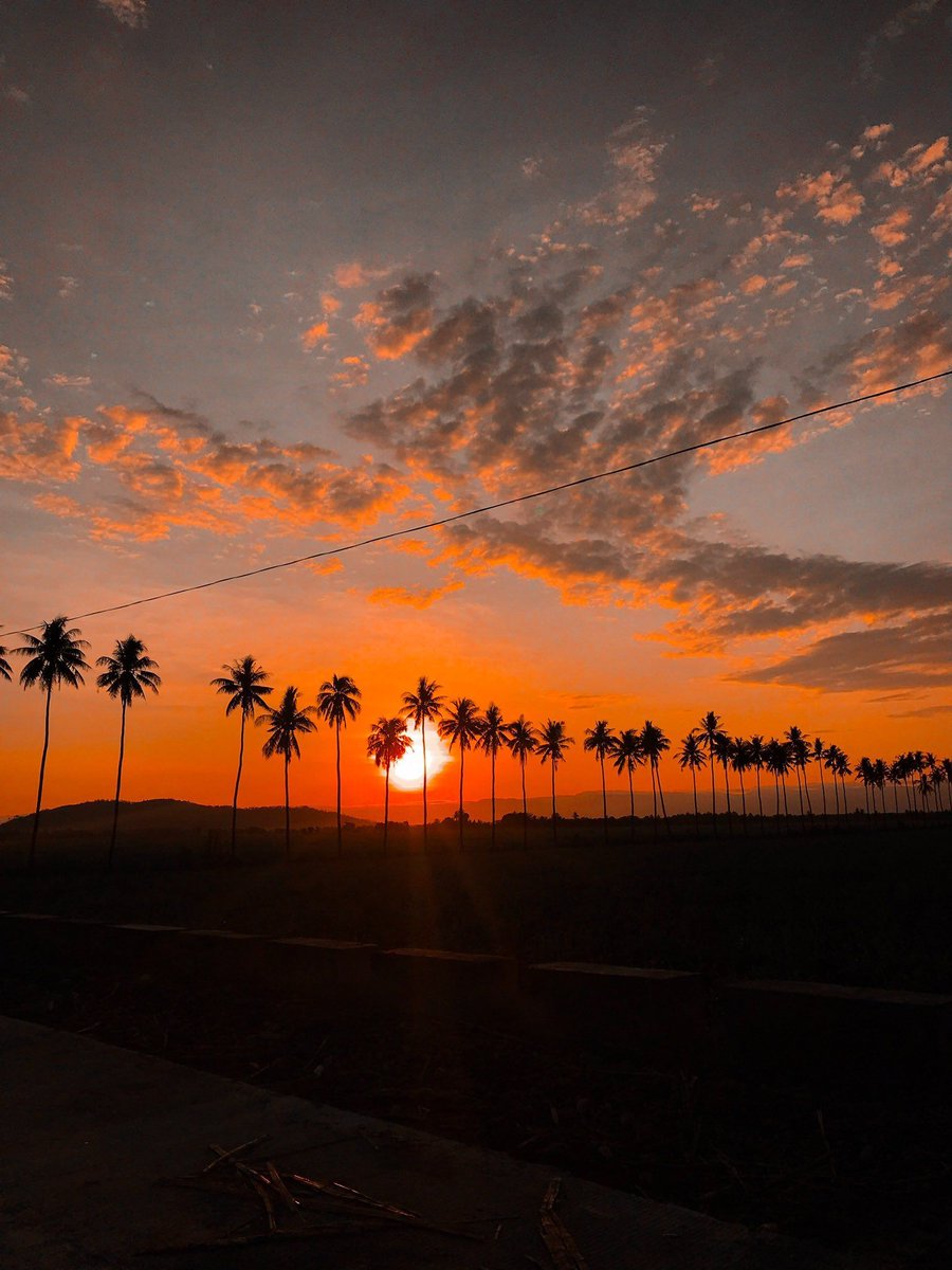 Aesthetics tweet media