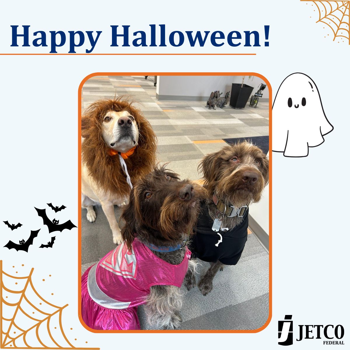 Happy Halloween from our furry friends to yours 🎃! Drop a picture down below of what your friends dressed up as!