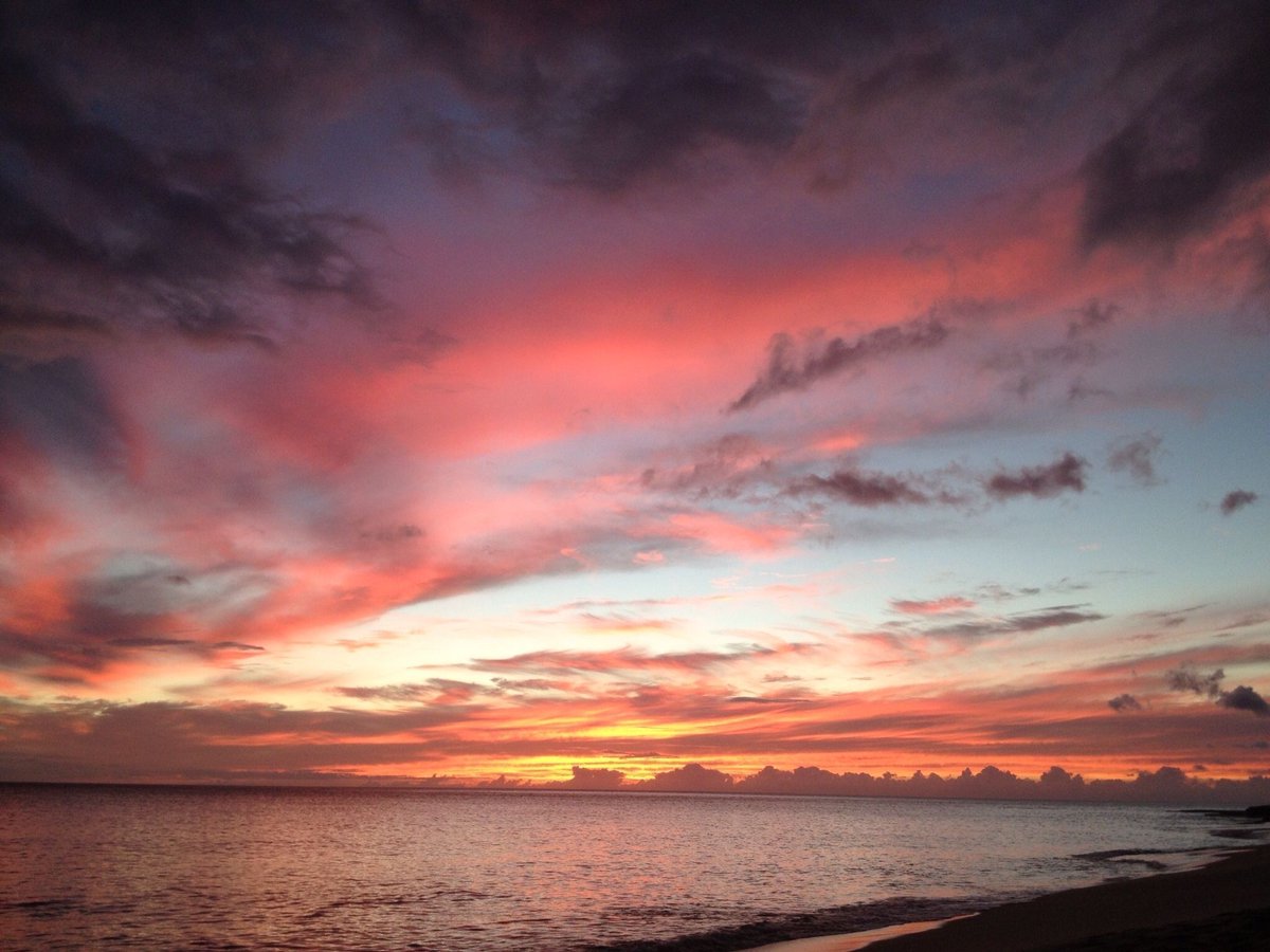 feldstej's tweet image. #fridayvibes #fridaythoughts #happyfriday #tgif