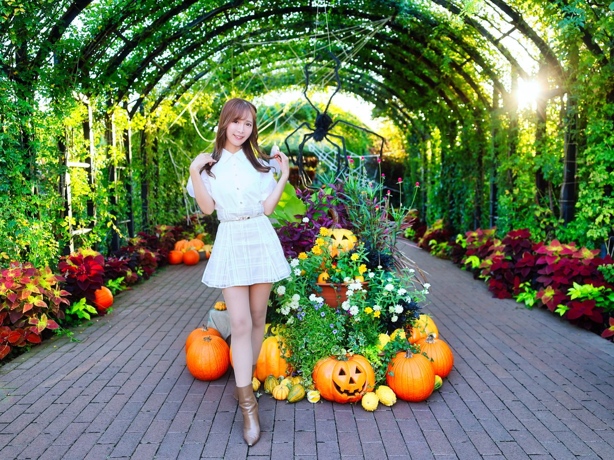 Anri Shibata tweet media