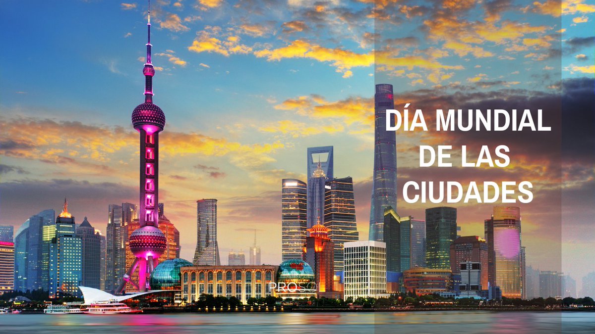 🏙️☕ En el #DíaMundialDeLasCiudades celebramos el papel del café en la vida urbana.
👉 Dato curioso: Shanghai es la ciudad con más cafeterías del mundo, con +7.000 locales.
#ProsolCoffee #CoffeeLovers