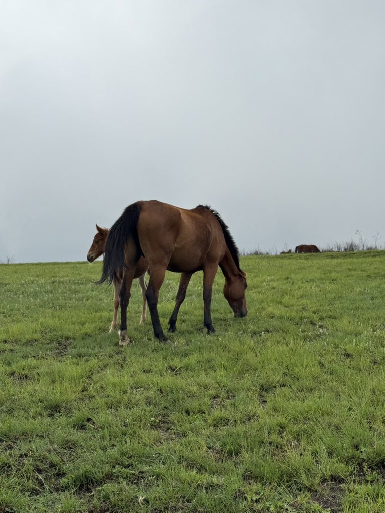 brokegirlKay's tweet image. 