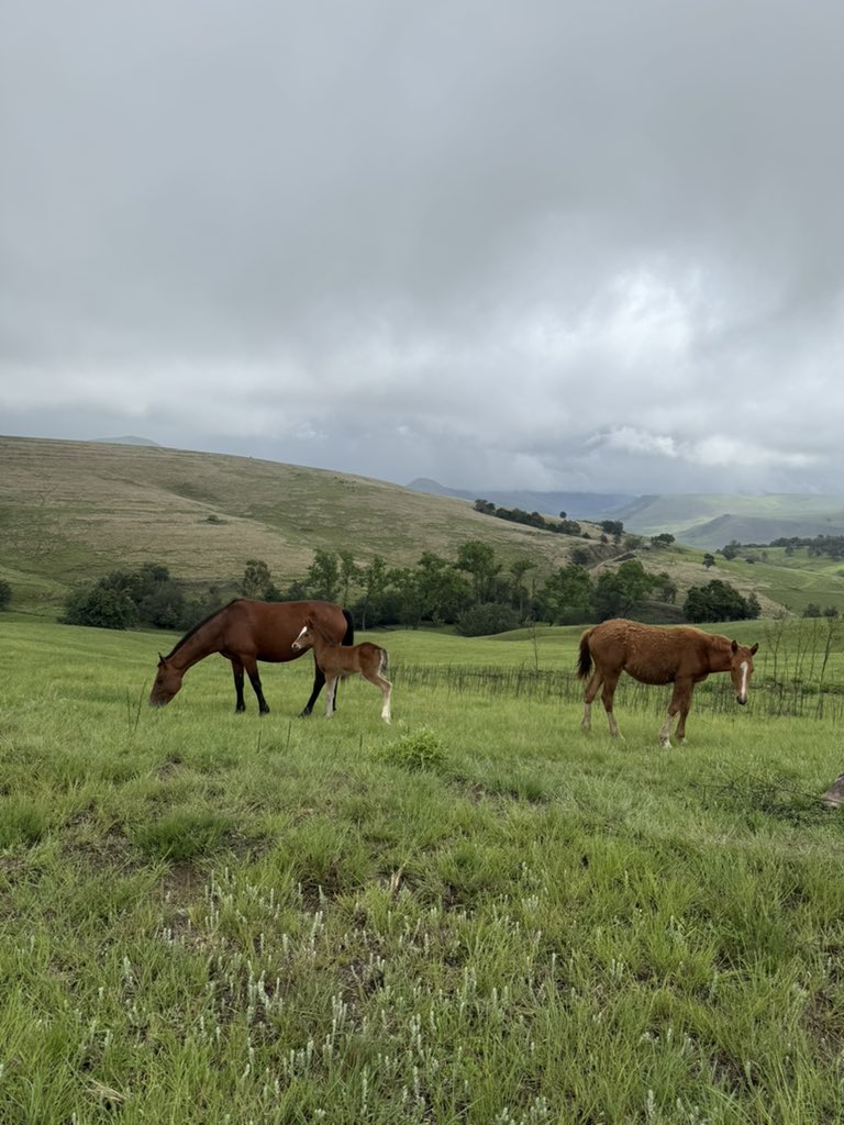 brokegirlKay's tweet image. 