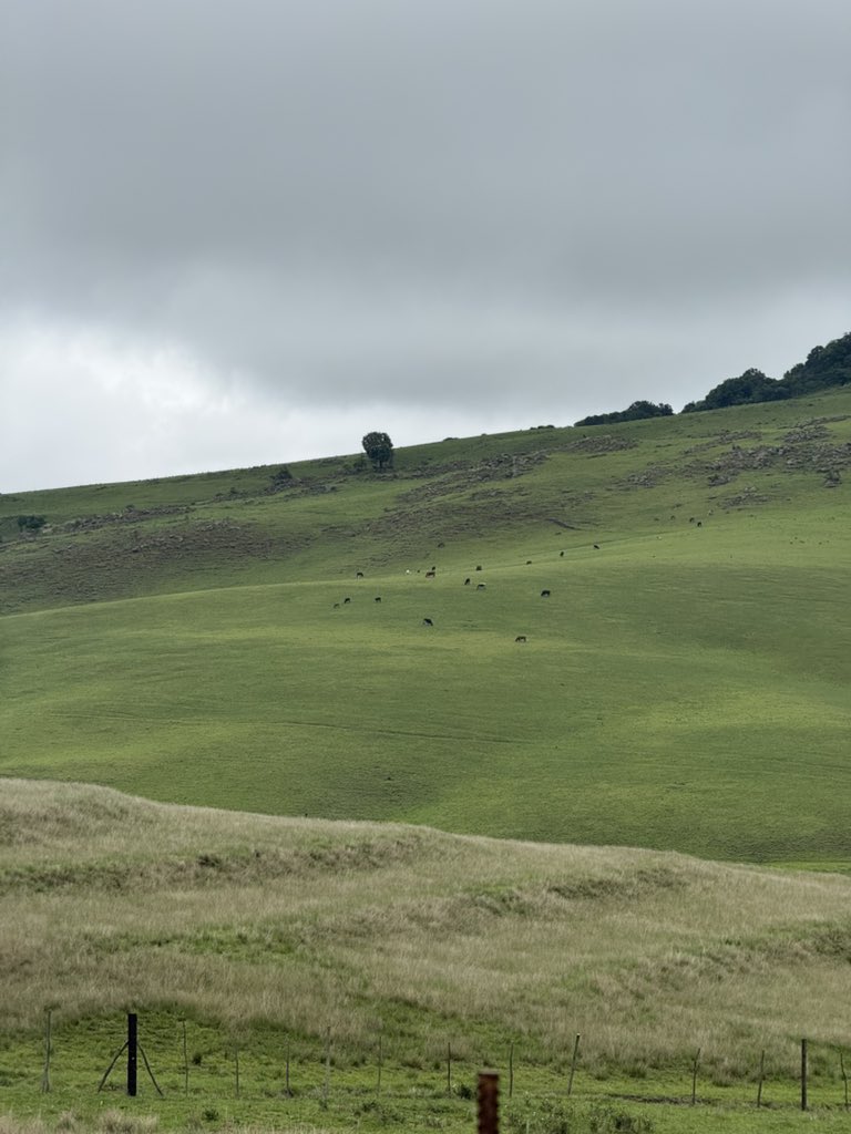 brokegirlKay's tweet image. 