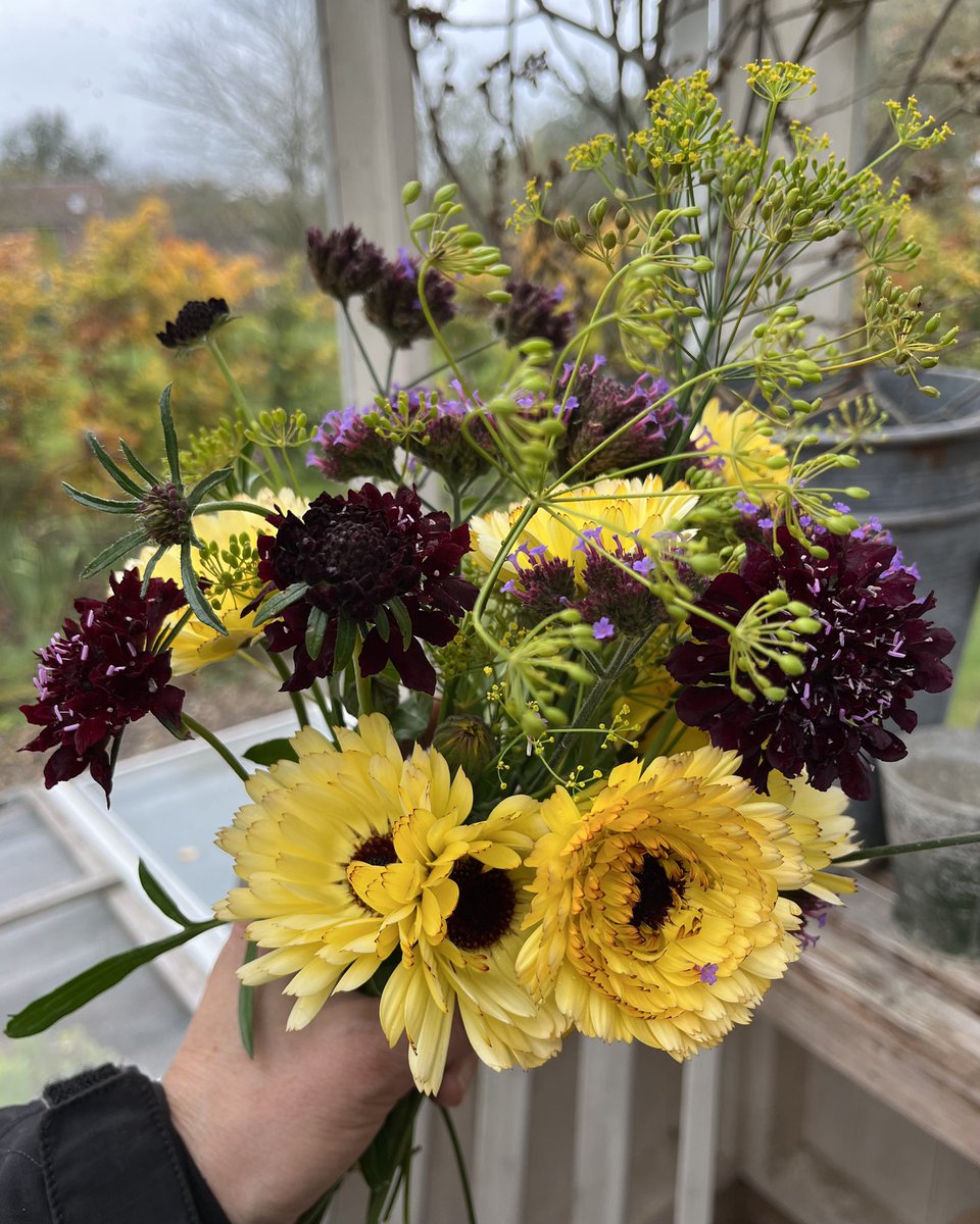 Last day of October and I’m very happy to still be getting flowers from my little cutting patch 💚 #inmygarden #FlowersOnFriday