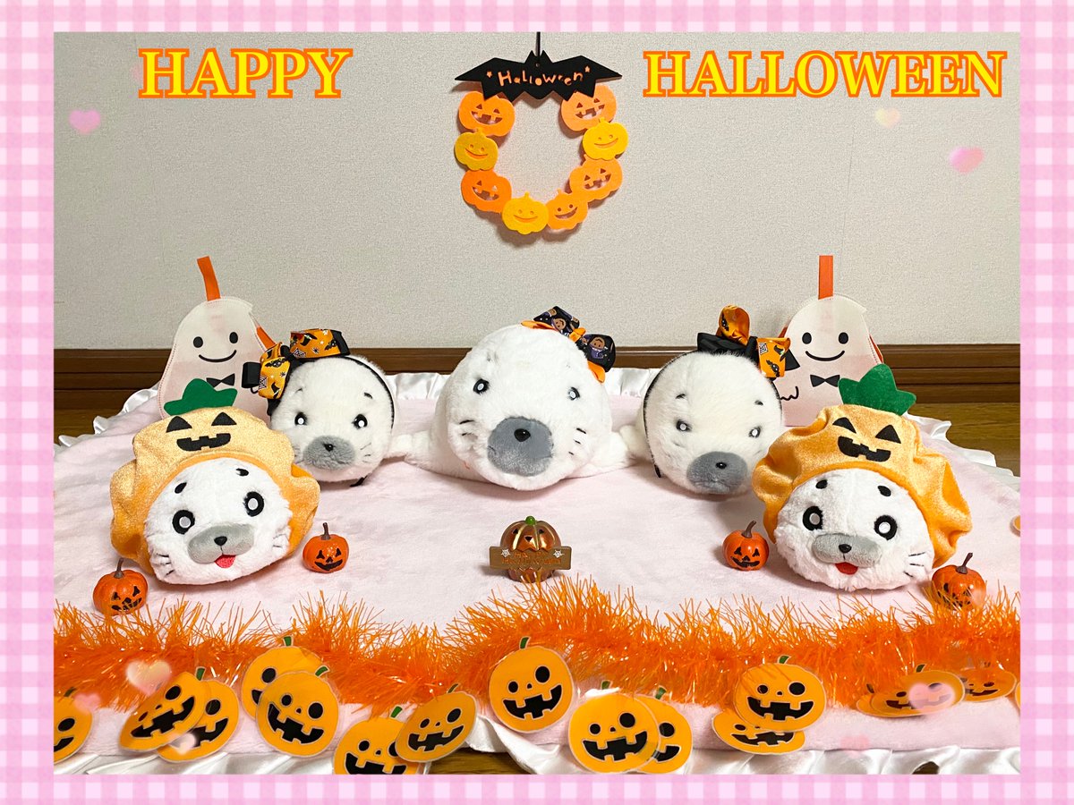 ごまちゃん G1q-PL6aUAEYGBx.jpg