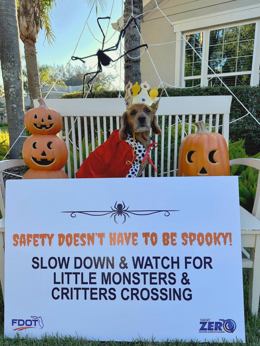 MyFDOT_Tampa's tweet image. 🎃👻 Safety doesn’t have to be spooky!

Our District Seven kids and pets are reminding everyone to keep our roads safe for little monsters and critters. 🚗✨ #DriveSafe #TargetZero