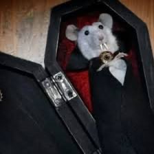 VictoriaRabling's tweet image. Arriba la obcuridad ✨