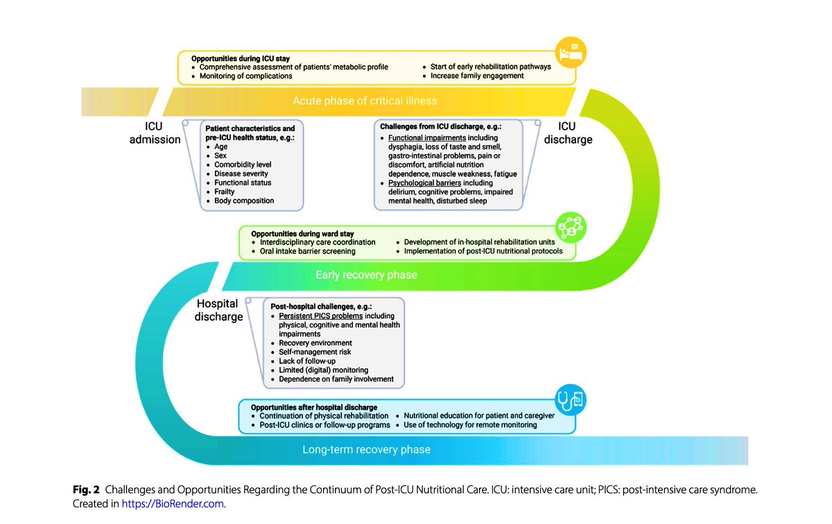 Paul Wischmeyer MD tweet media