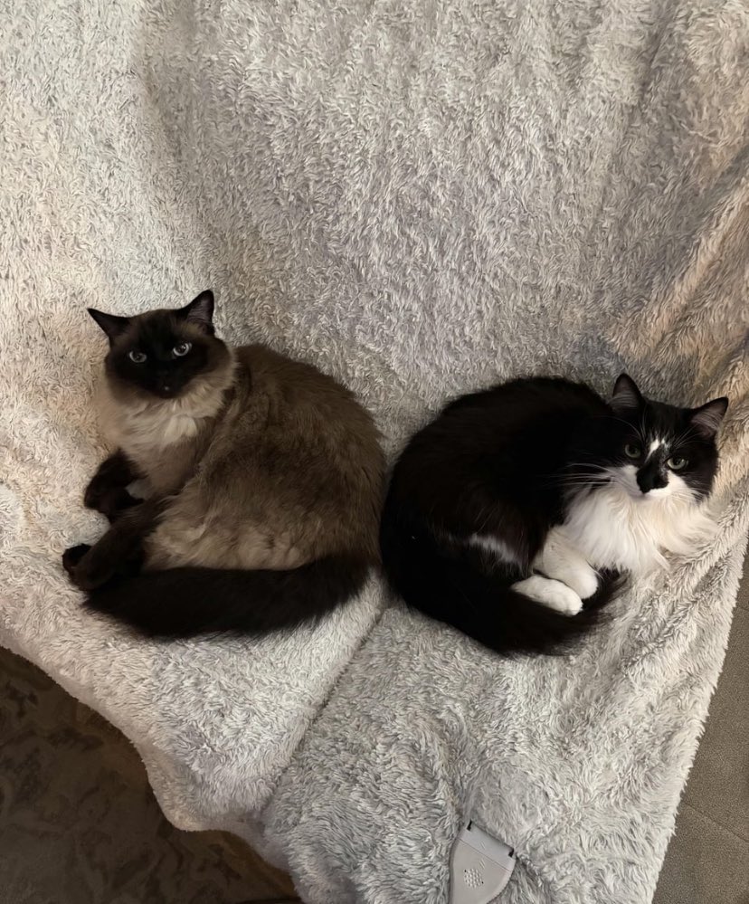 After almost two years, they’ve finally decided that they like one another.