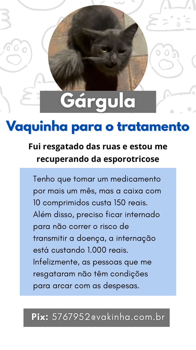 ivestudos's tweet photo. minha amiga resgatou essa gatinha que está com esporotricose, e o tratamento é bem caro, ainda mais com a internação. se vocês não puderem contribuir com dinheiro, por favor, deem RT aqui para divulgar 🩷

link: https://t.co/Qz1q2oEISb https://t.co/MqYoFXZcoF