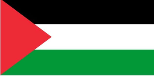 🚨🚨🚨🚨🚨🚨🚨🚨🚨🚨🚨🚨🚨🚨🚨🚨🚨🚨🚨🚨🚨
Avec le triangle vert c'est le drapeau du Soudan...

C'est une info pour les Lfistes... Au cas où....