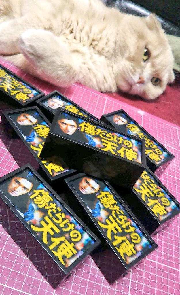 カトちゃん 　1文字4cm数字とくまねこちゃん♡カッティング ダイ ドギーマンハヤシ キャティーマン ねこちゃんシーキューブ