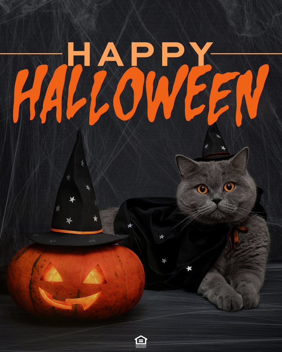 SummerKeyofAL's tweet image. 🎃 From black cats crossing your path to witches flying by—our apartments are full of Halloween cheer! Enjoy the spooky season! 🐈🖤 #HappyHalloween