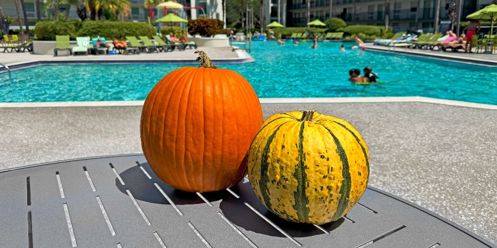 🎃👻 Happy Halloween from Avanti International Resort!

Goblins, ghouls, and plenty of festive thrills await. Whether you’re in costume, in swimwear, or just here for the treats, we hope your day is full of laughs, surprises, and all the Halloween magic. 🕸️