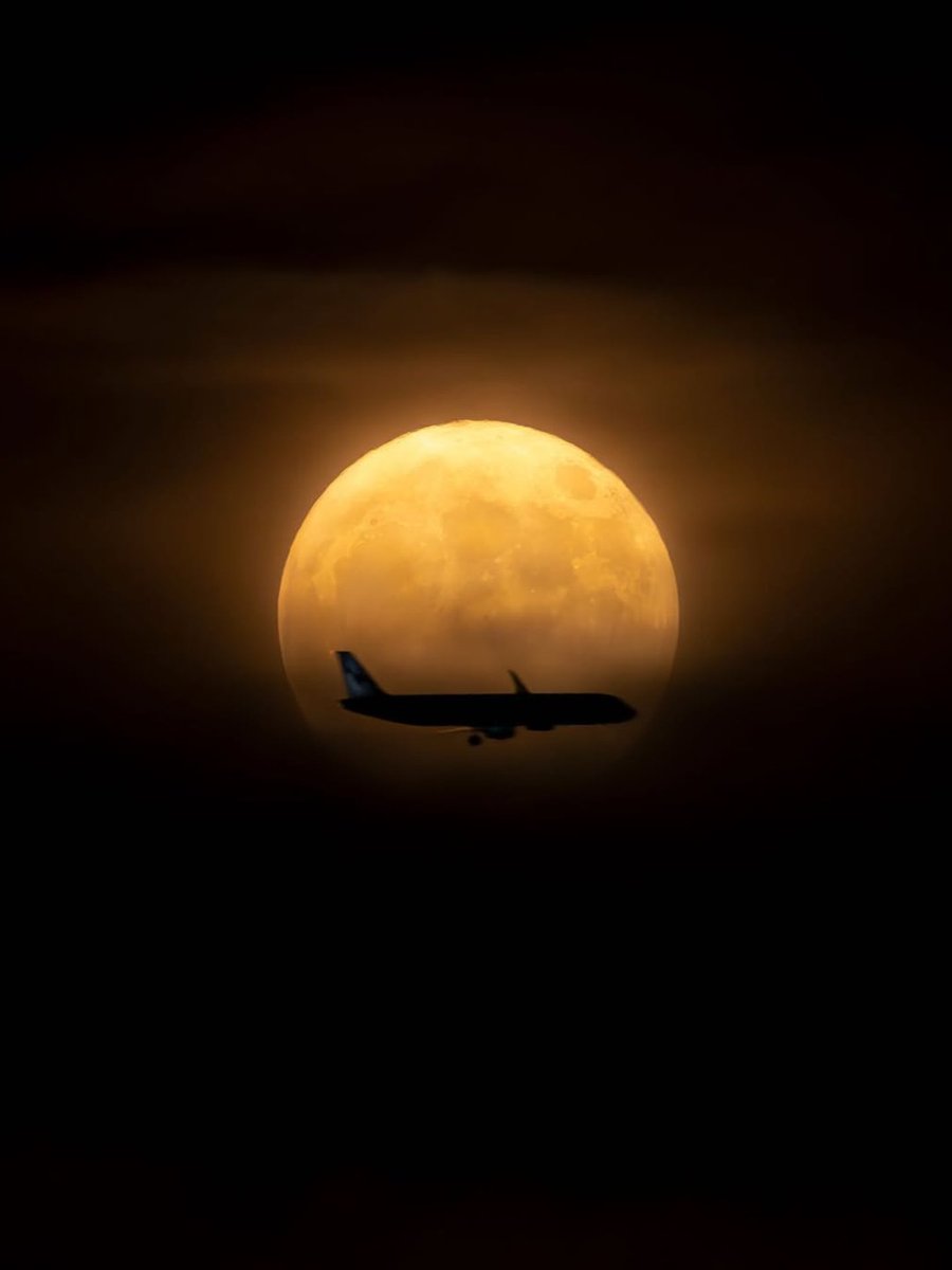 Fly me to the boo-n 🌙👻 #HappyHalloween

📸 via ig: niwreig / ethanringphoto / dfranksworld