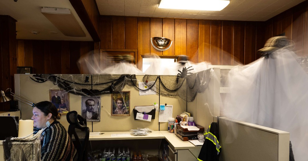 Timber Products tweet media