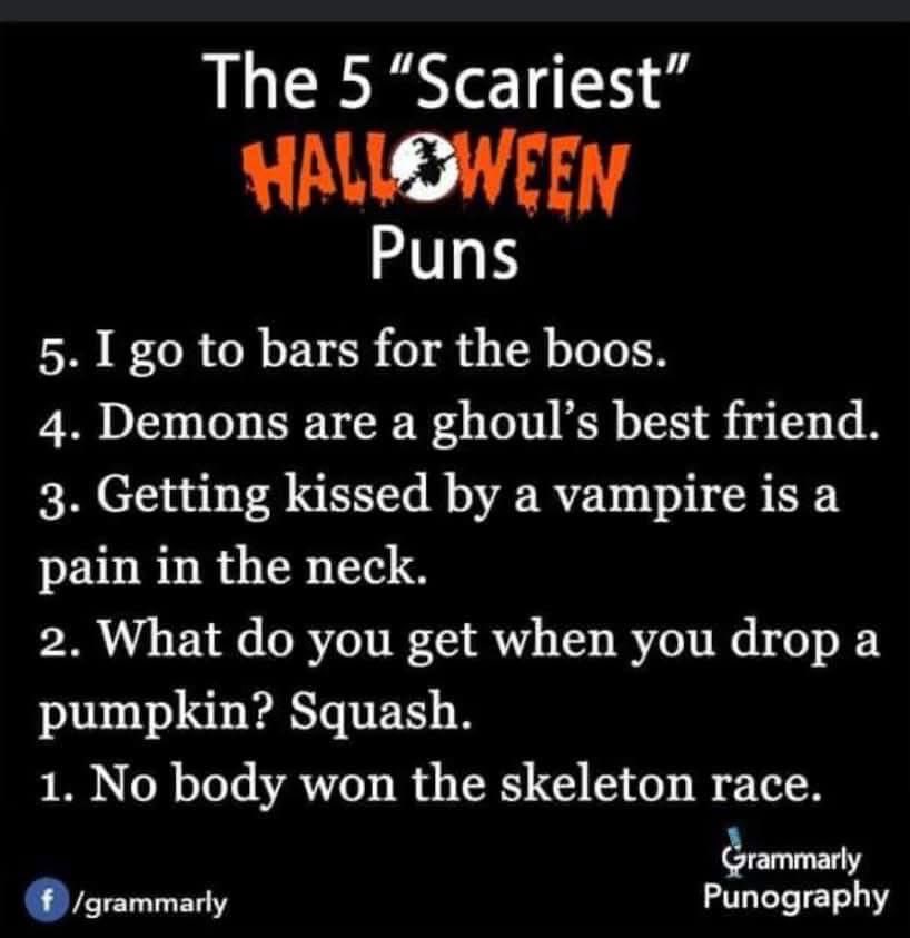 Gary Gnu (@garygnu1234) on Twitter photo 