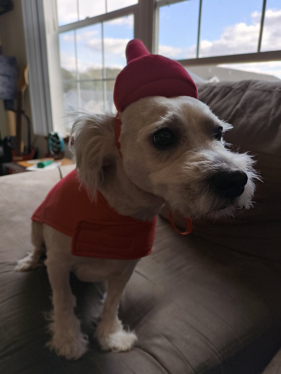 Happy Halloween from Ms ketchup bottle 🎃🍭🍬👻