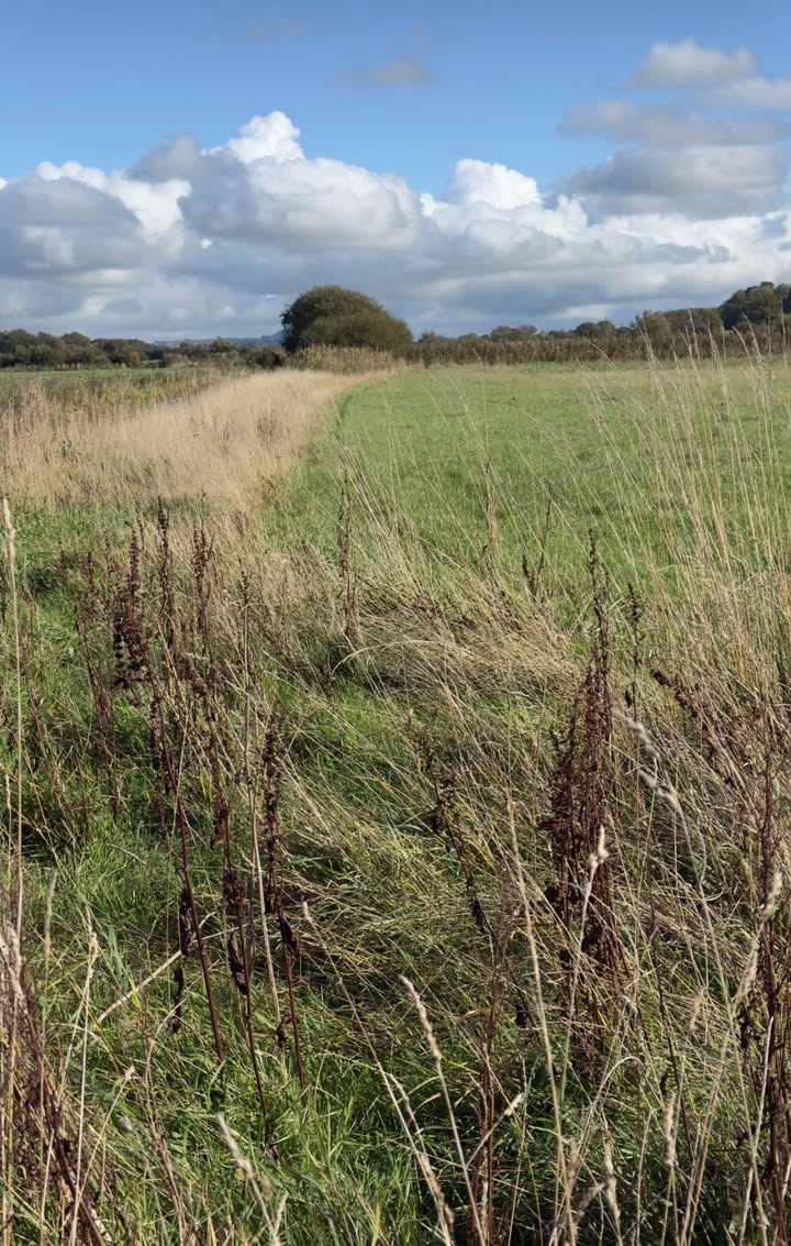 Had a great morning with Dorset farmers discussing rough grassland margins for Birds of Prey &amp; Voles! Thanks to <a href="/FWAGSouthWest/">FWAG SouthWest</a> &amp; <a href="/DorsetNatLand/">DorsetNL</a> for the support. Stay tuned for our next Hawk &amp; Owl Trust live show! 🦉🌾 #BirdsOfPrey #Conservation #Dorset