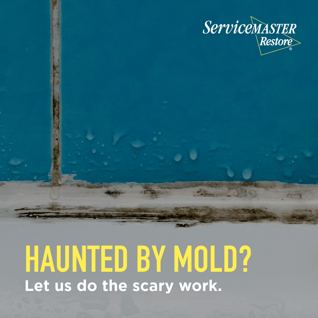 bcebulla20's tweet photo. Happy Halloween from ServiceMaster Restore! 🎃 Enjoy your spooky season and let us handle the real scares of water damage, fire &amp; mold. When you experience damage, trust us to help you move forward. Give us a call at: https://t.co/4l7U8OqePo