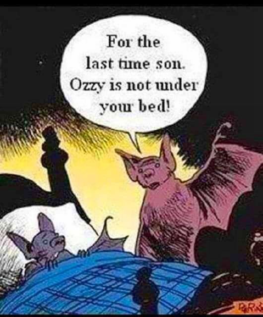 crockpics's tweet image. Happy Halloween #Happy Halloween