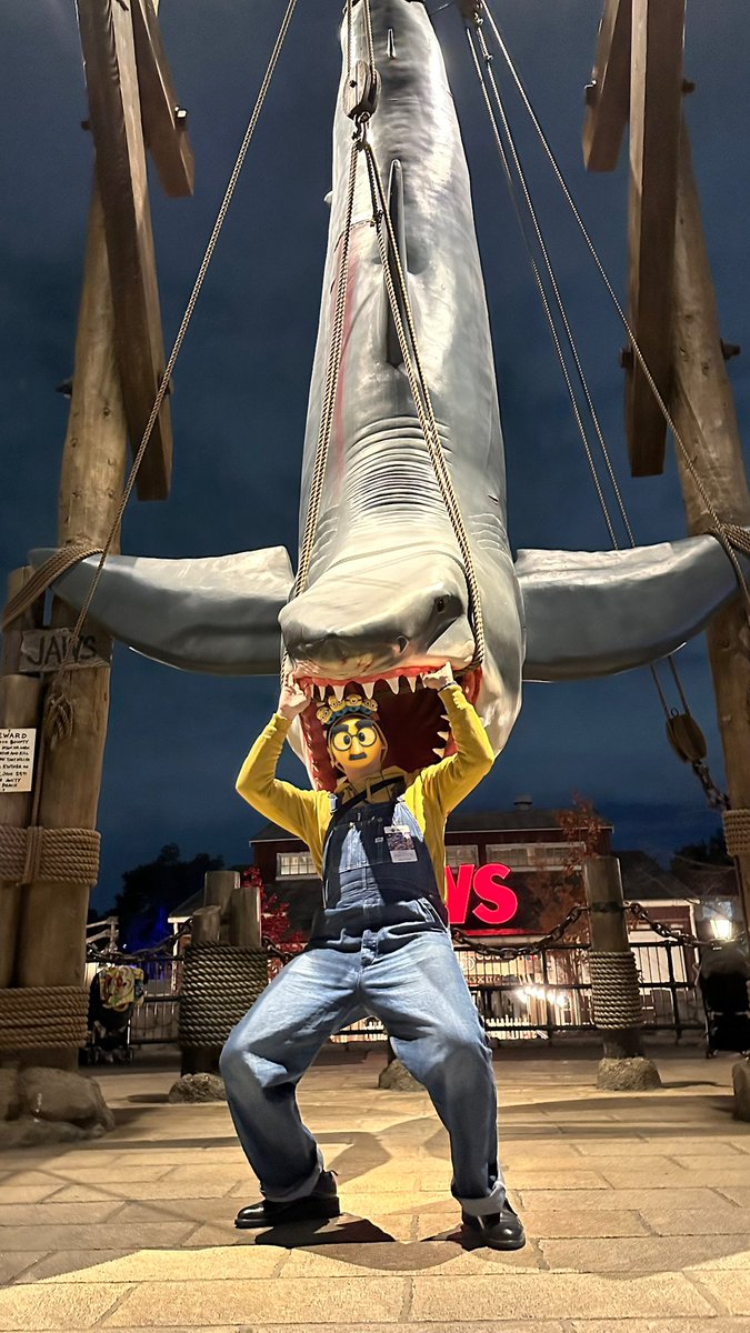 普段仮装しないトビーはこんな感じです👋