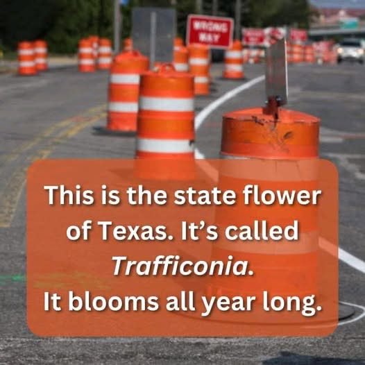 Facts About Texas (@factsabouttexas) on Twitter photo 