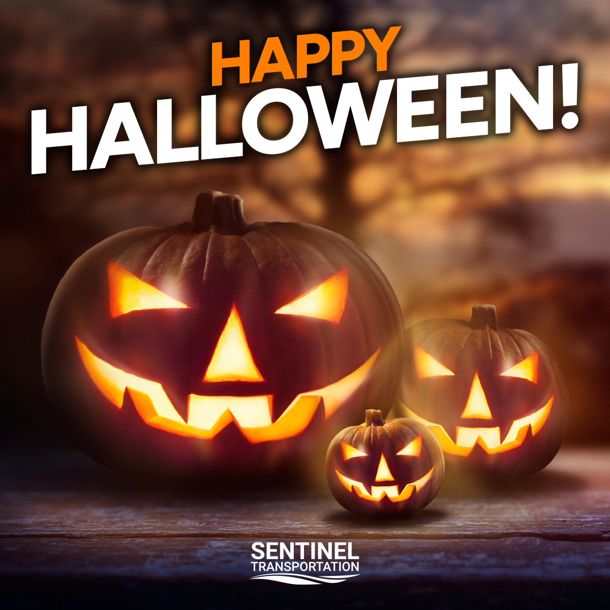 sentinel_trans's tweet image. Stay safe, and have a Happy Halloween!