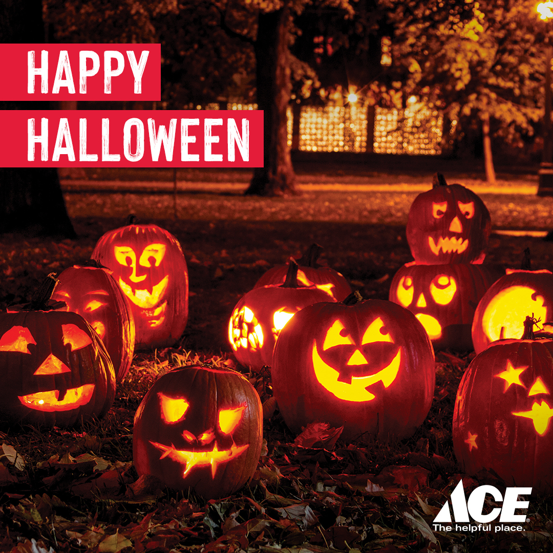 Sunshine Ace tweet media