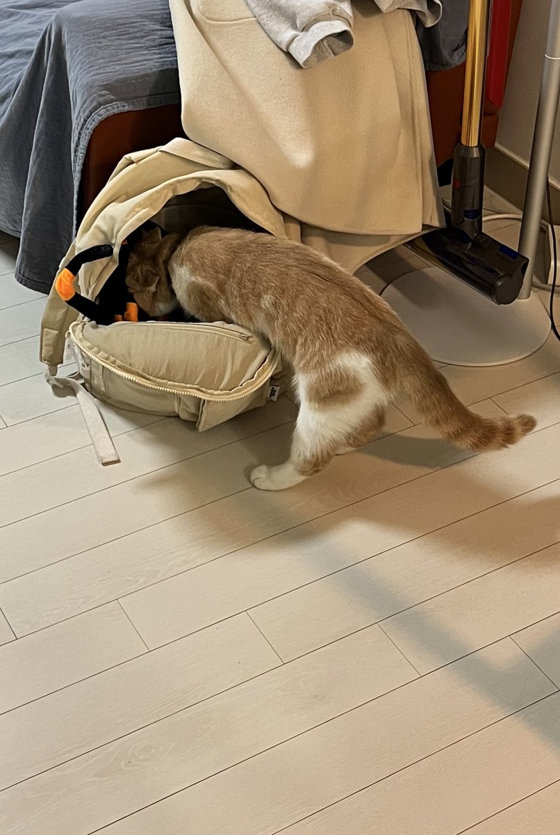 아버지가방에들어가신다