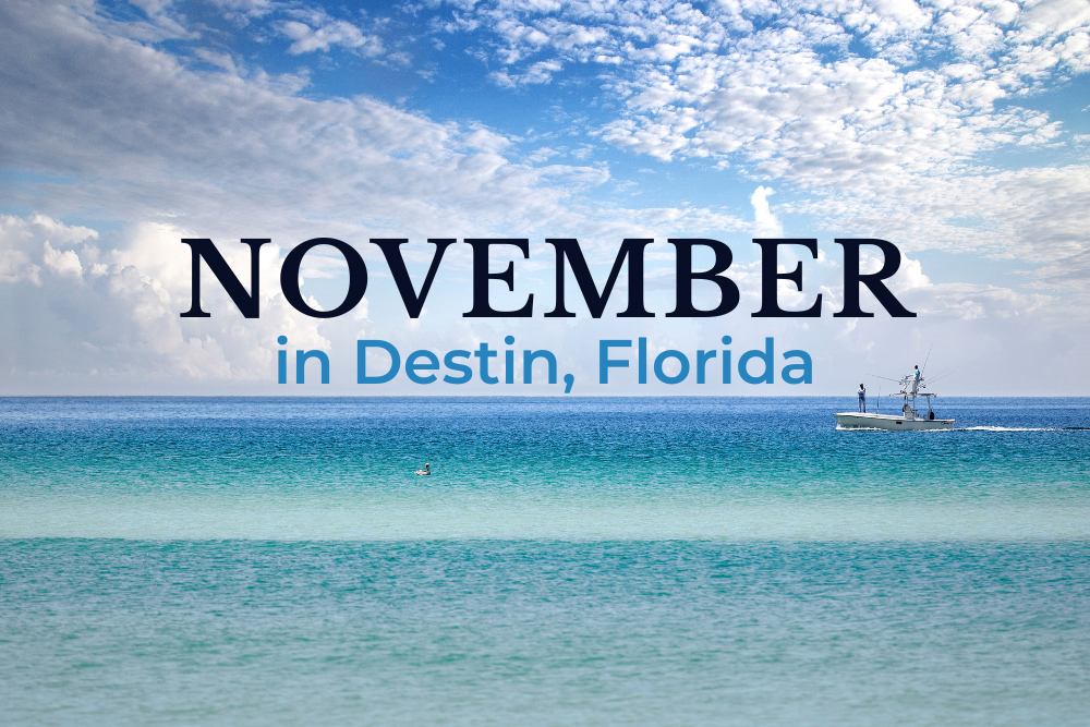 TheOceanReef's tweet image. 🍂 November in Destin hits different — golden sunsets, no crowds, and oysters so fresh they taste like the sea. The locals call it the secret season for a reason. 🌊

Plan your fall escape 👉 oceanreefresorts.com #DestinFlorida #EmeraldCoast #FallBeachVibes