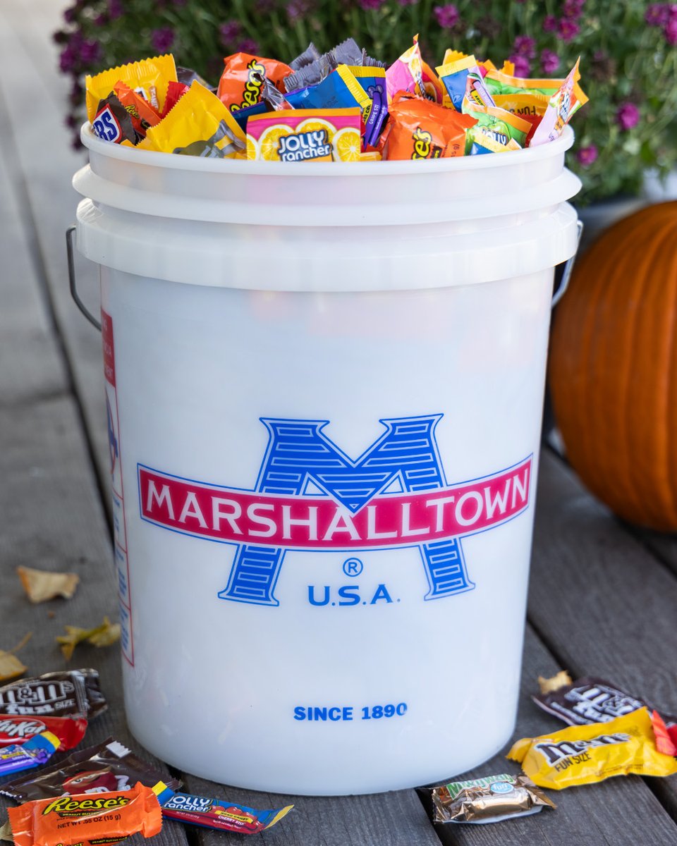 🎃 Happy Halloween 🍬 
👻 Hope you have a day filled with spooky vibes, sweet treats and fun friends! 🕸️