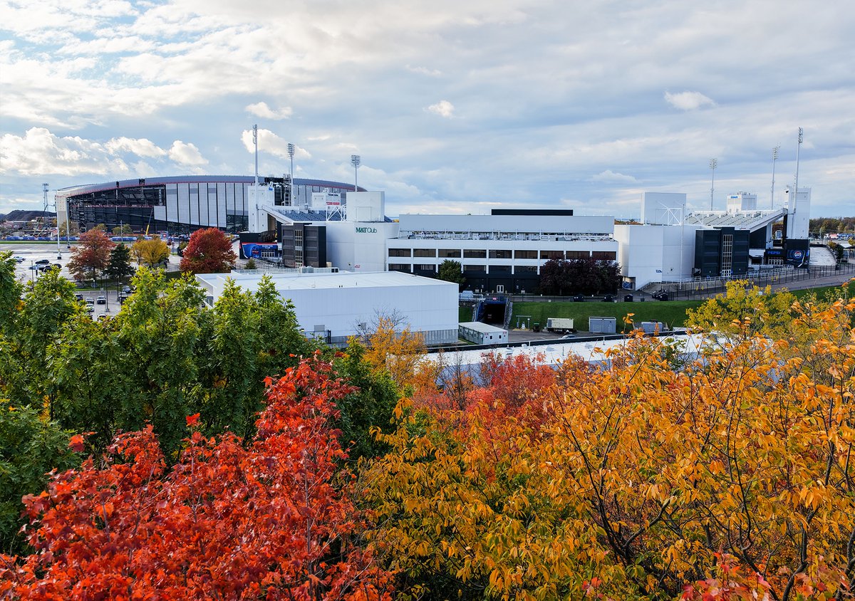 Fall in Orchard Park. 

#BillsMafia | #GoBills