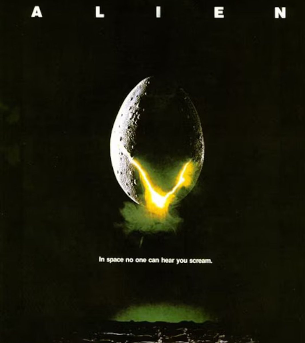 Screen Rant tweet media