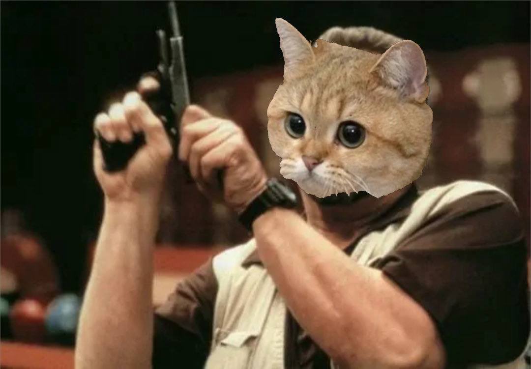 Enough staring at it.

It’s time to send $STARECAT to new all time highs. 

Focus.