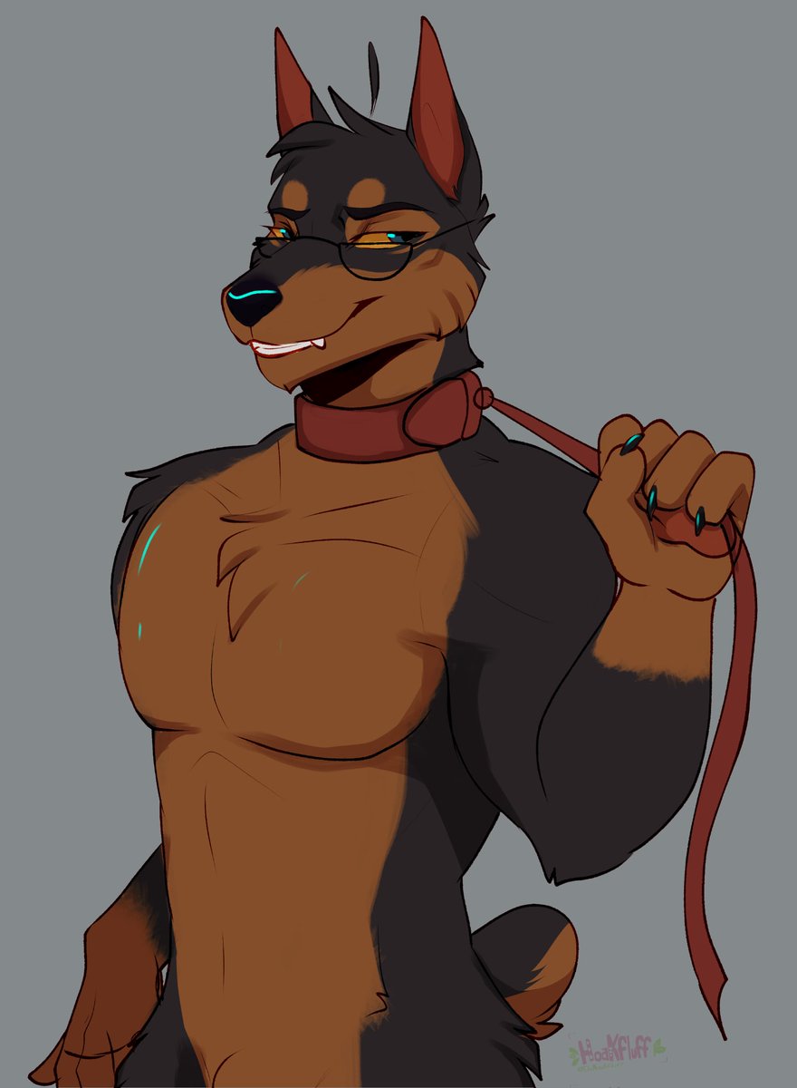 Enzo The Doberman tweet media