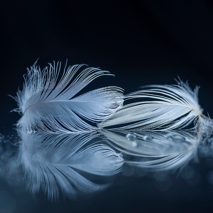 davewakeling's tweet image. 🌟 Ready to connect with the spirit world? Join me for a mediumship reading where I’ll help you find the clarity and guidance you seek. Experience the unique messages from beyond! 

Visit wix.to/lw9A5lq to book your session. 

#Mediumship #SpiritualGuidance