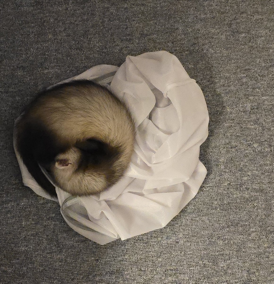 뭔가 안올린거같은 좋아하는 사진들