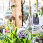 Photo by Stapleton Floral (@stapletonfloral)
