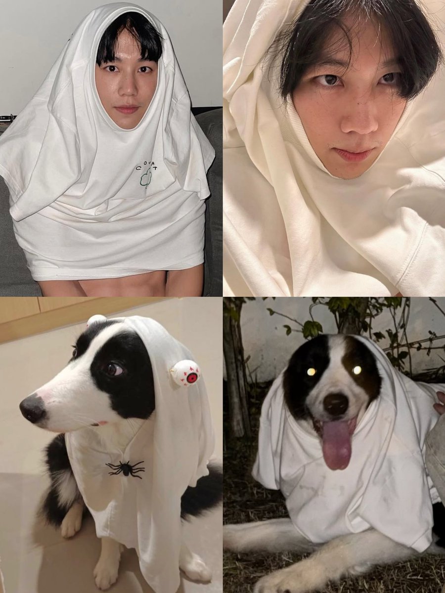 🐶😱👻

#ค่ำคืนชวนหลอนxหยิ่นวอร์
TRICK OR TREAT YINWAR
#warwanarat <a href="/warwanarat/">ว</a>
W.Wanarat #sammerbcollie