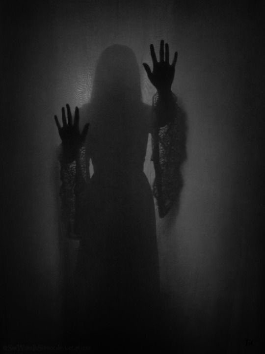 Athena 🦉 (event.) tweet media