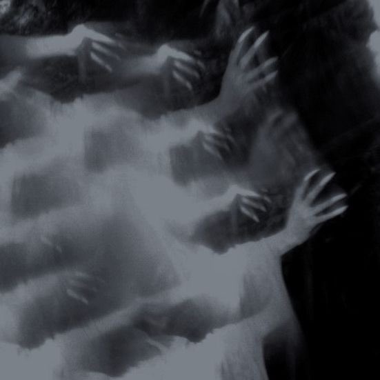 Athena 🦉 (event.) tweet media