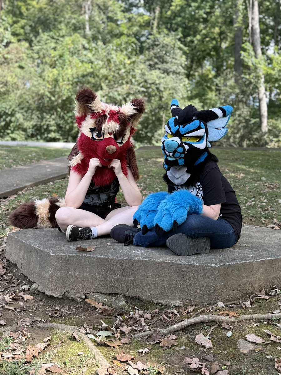 Happy Halloween!!!!🎃🎃🎃🎃

And it lands on a #fursuitfriday !!

What are you gonna do this Halloween?