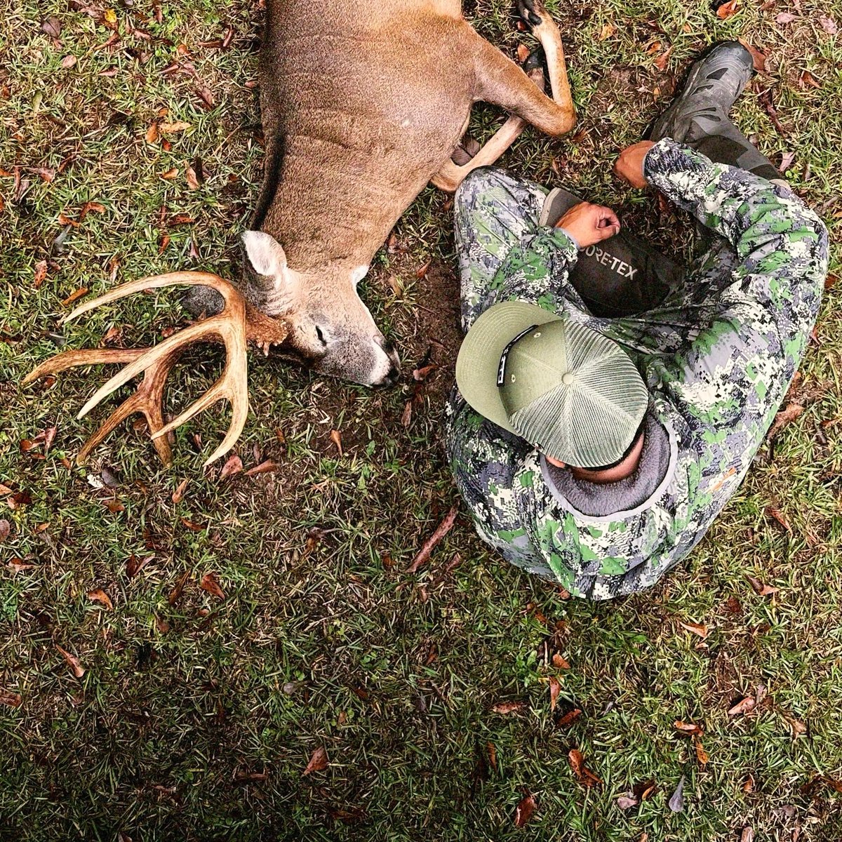 _dshine's tweet image. BBD 🦌