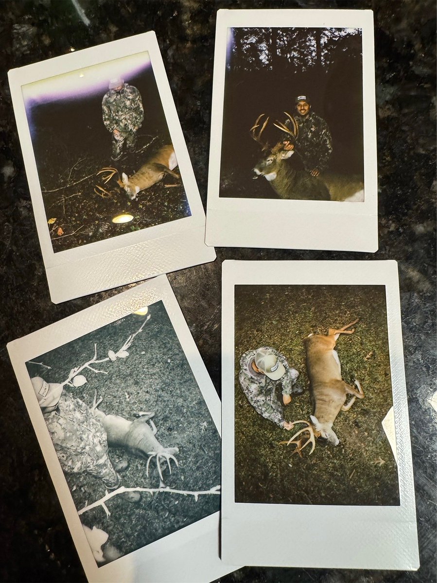 _dshine's tweet image. BBD 🦌