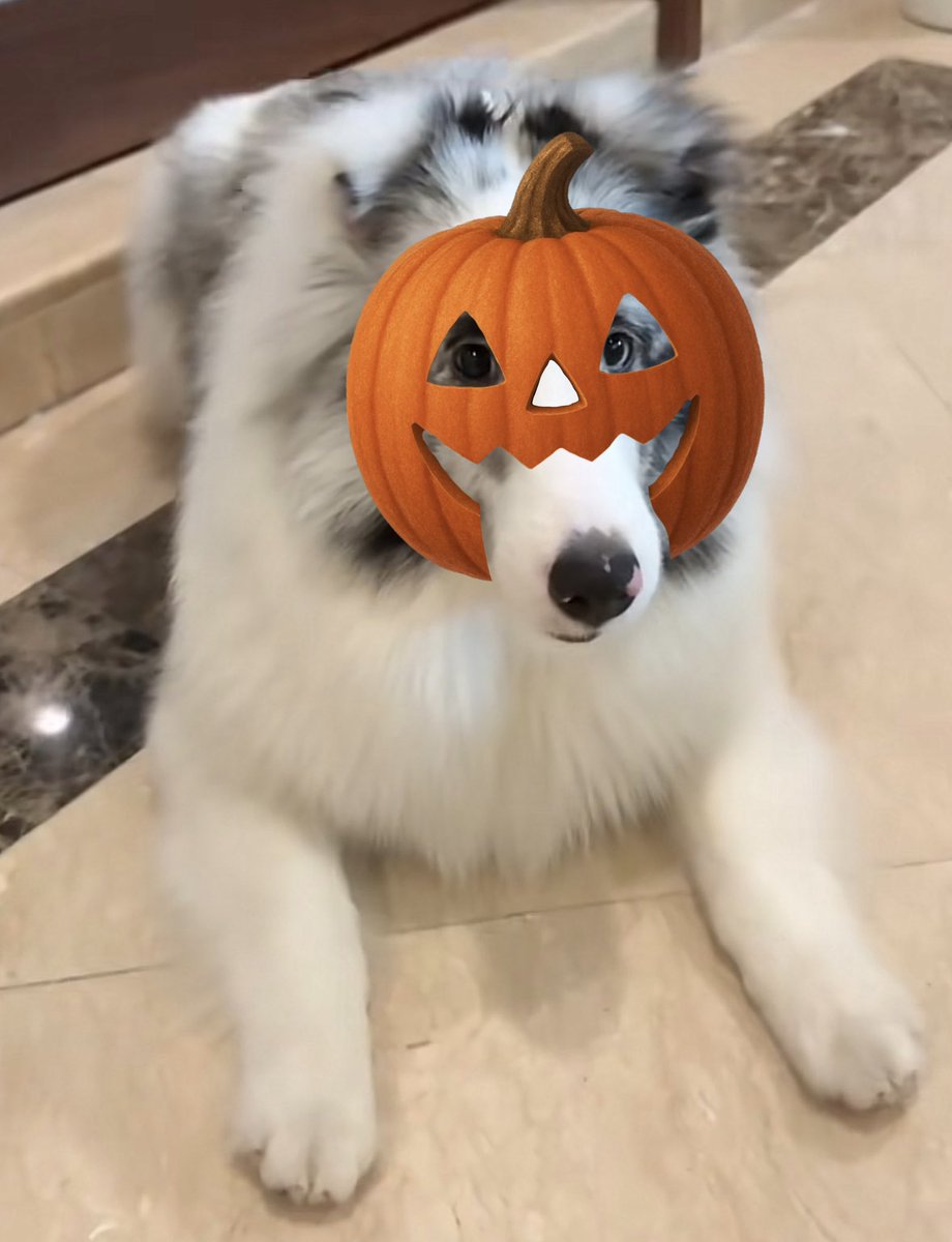 𝘀𝗮𝗹𝗮𝗱 (@biwkeen) on Twitter photo 